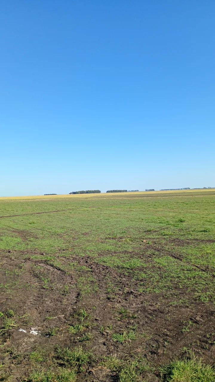 Dessecação de campo para preparo de solo para safra 2026/2027 drone T100